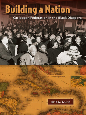 cover image of Building a Nation